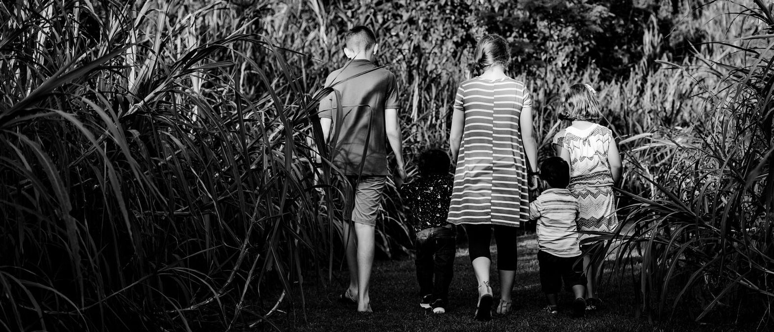 bw jungle